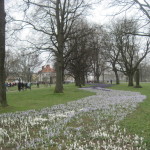 Arrival of Spring Karlstad, Sweden