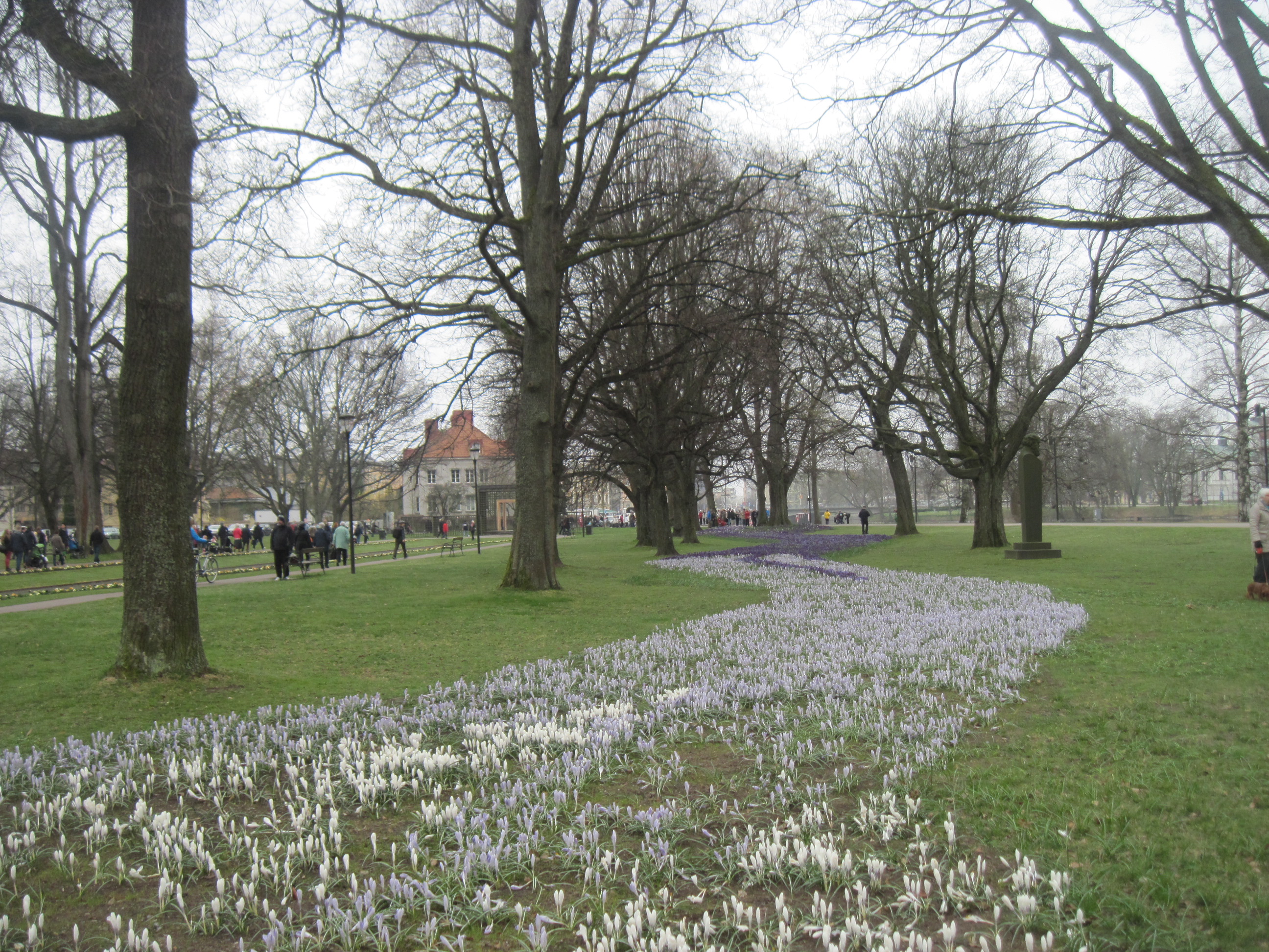 Arrival of Spring Karlstad, Sweden