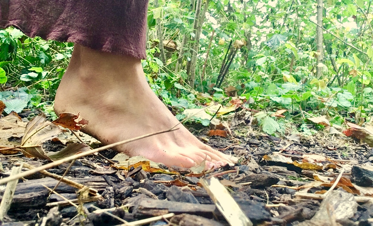 Walking Barefoot on the Earth, Blog