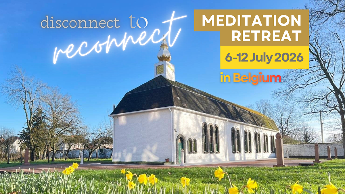 Mind Detox at a Summer Retreat in Lede, Belgium